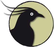 logo copy